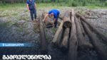 ხე-ტყის უკანონო მოპოვების ფაქტი ჩხოროწყუში: სოფელ მუხურში სახელმწიფო ტყიდან ხეები მოჭრეს